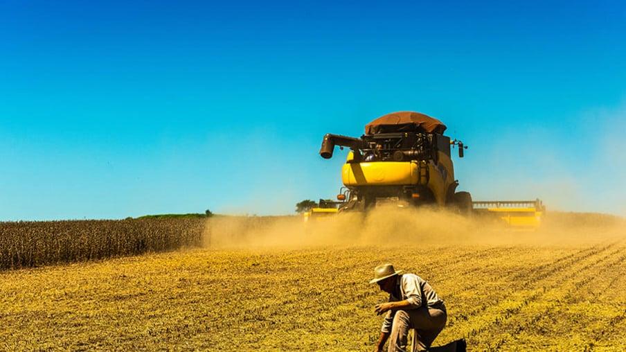 Dólar valorizado e demanda externa impulsionam os preços da soja