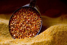 Beneficiários do Programa de Vendas em Balcão serão fiscalizados pela Conab