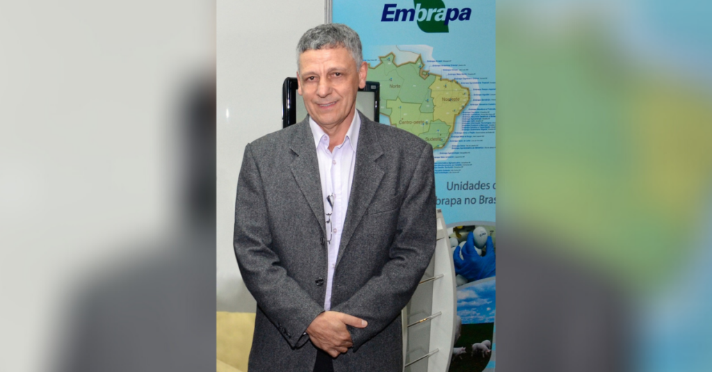 Como iniciar uma produção de suínos?