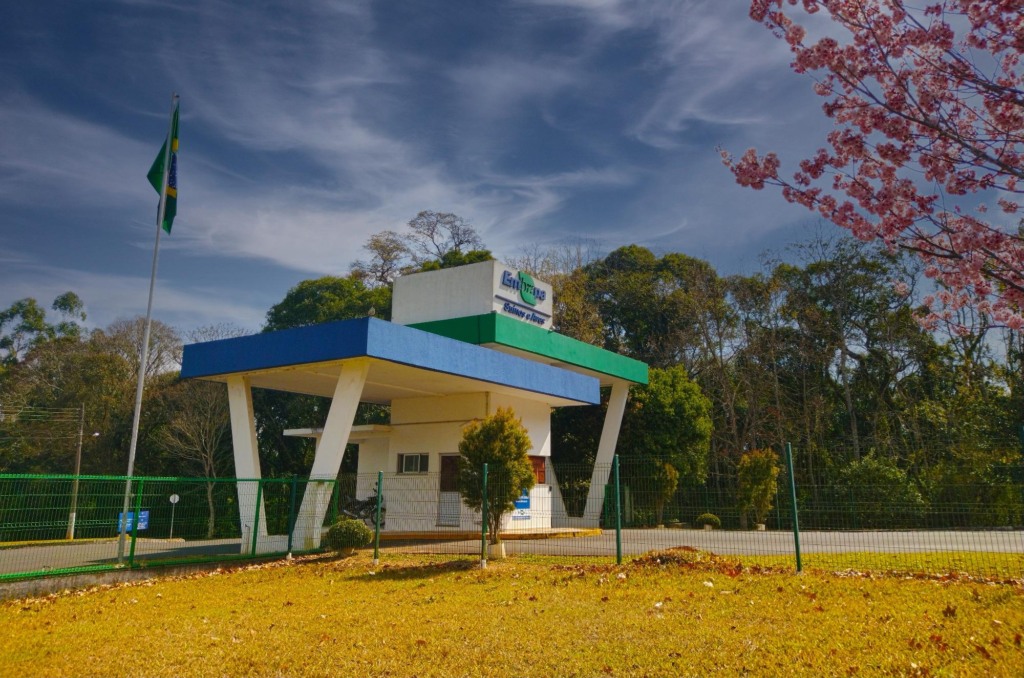 Embrapa coordena painel inovador na AveSui 2023