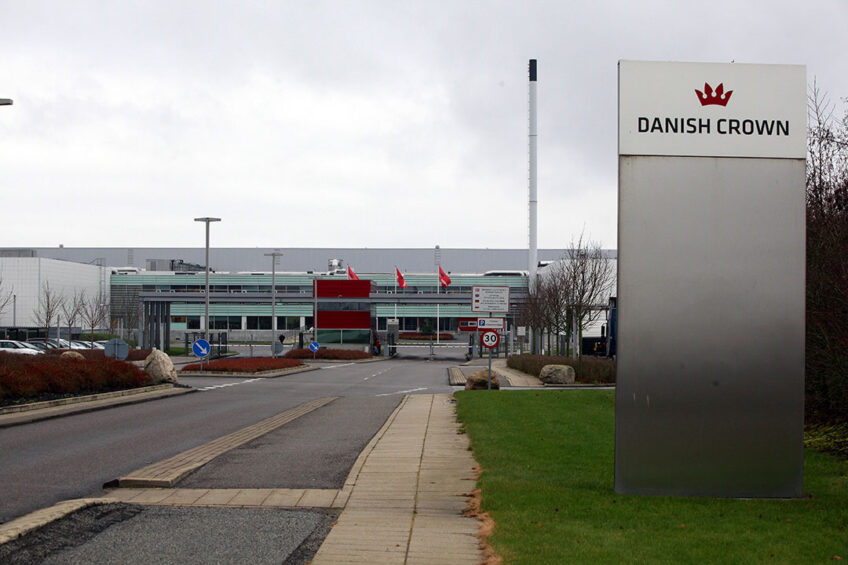 Danish Crown planeja operação drástica de corte de custos para melhorar lucros