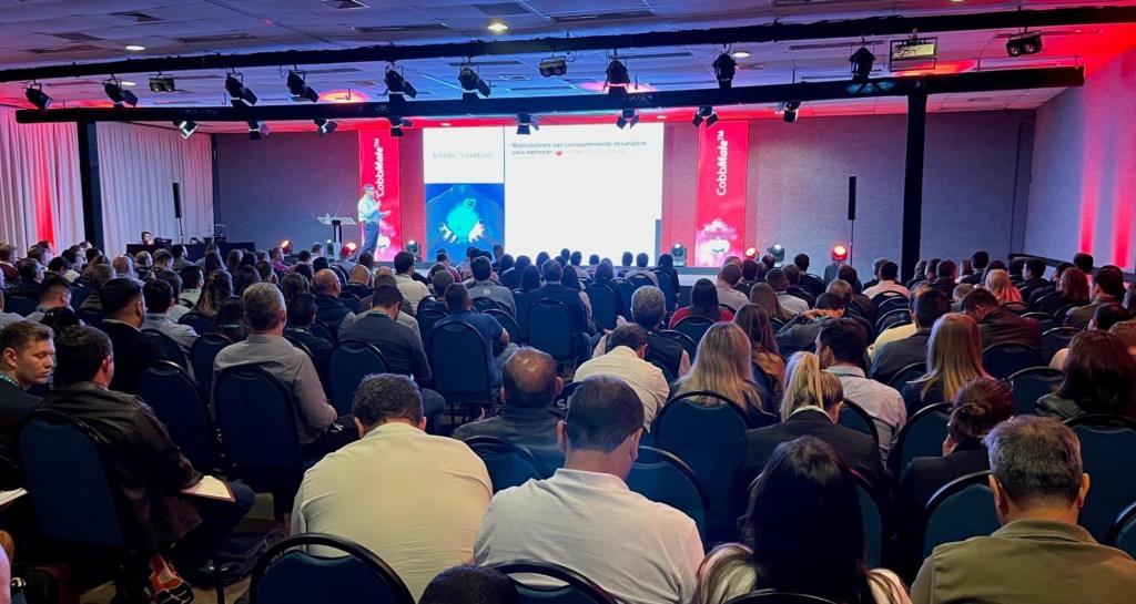 Cobb-Vantress elege uniformidade de machos reprodutores entre pontos essenciais de manejo