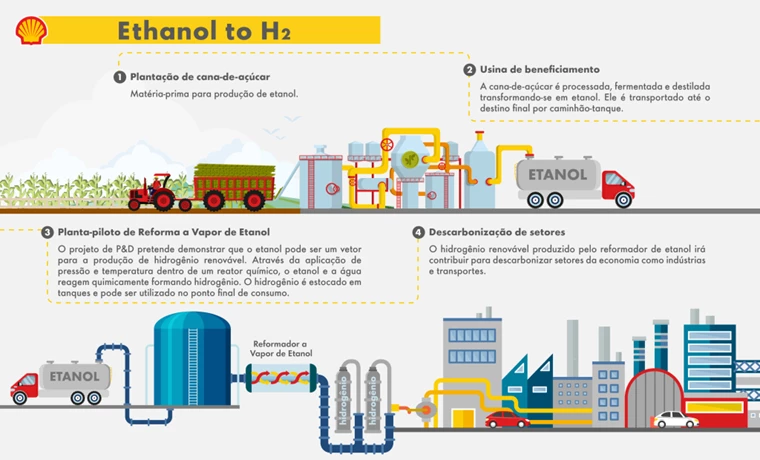 infografico