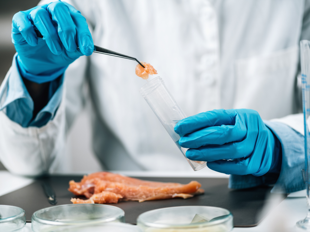 Da bancada ao prato: mudanças na rotulagem nos EUA para carne de laboratório