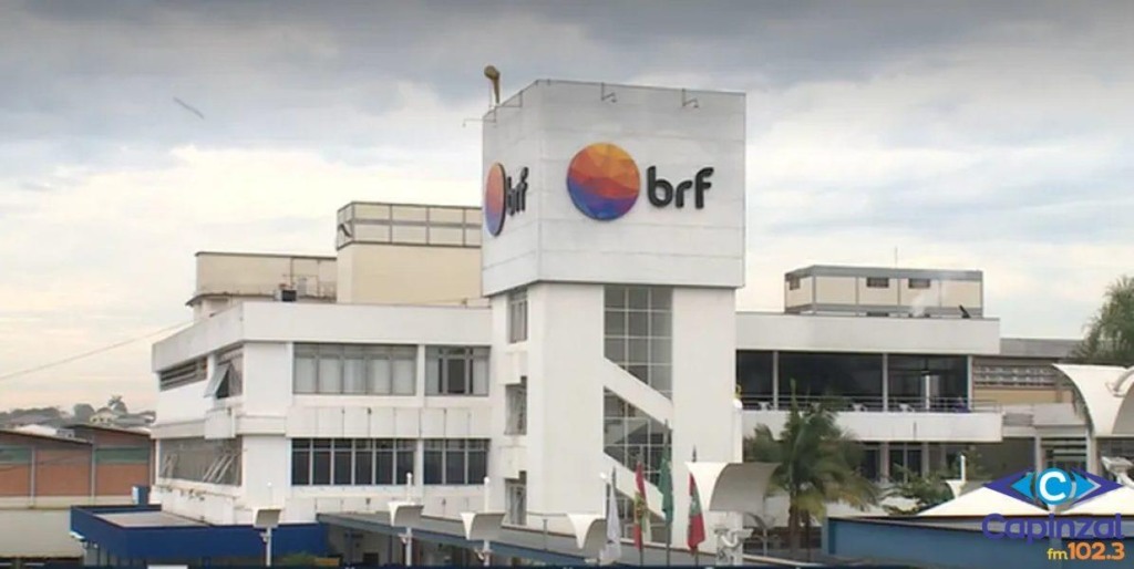 Unidade da BRF em SC adapta todas as instalações para gestação coletiva de matrizes suínas