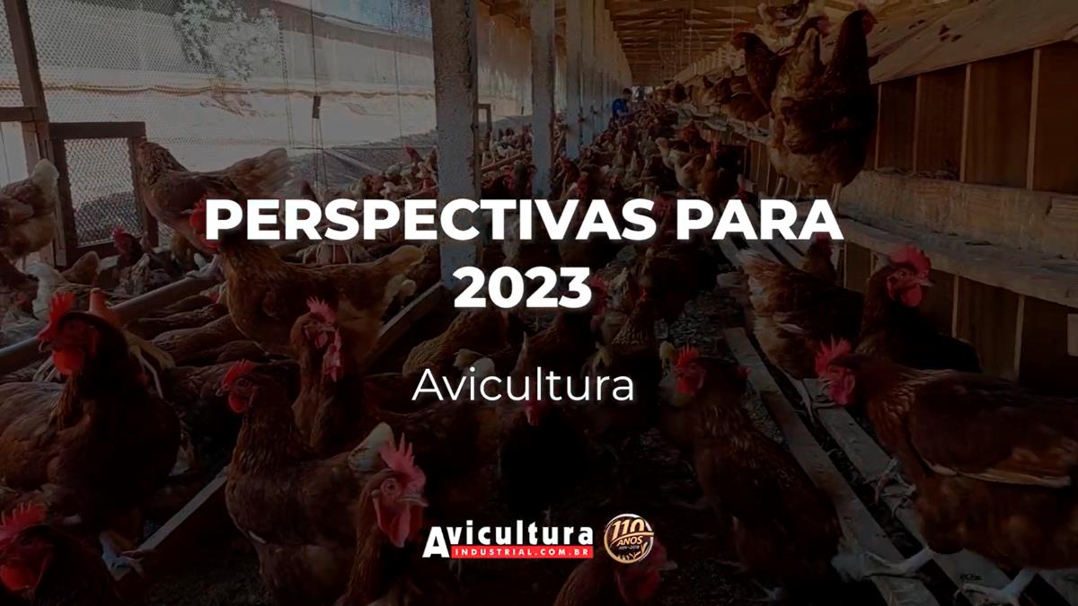 Confira as expectativas do setor para o ano de 2023 Confira as expectativas do setor para o ano de 2023