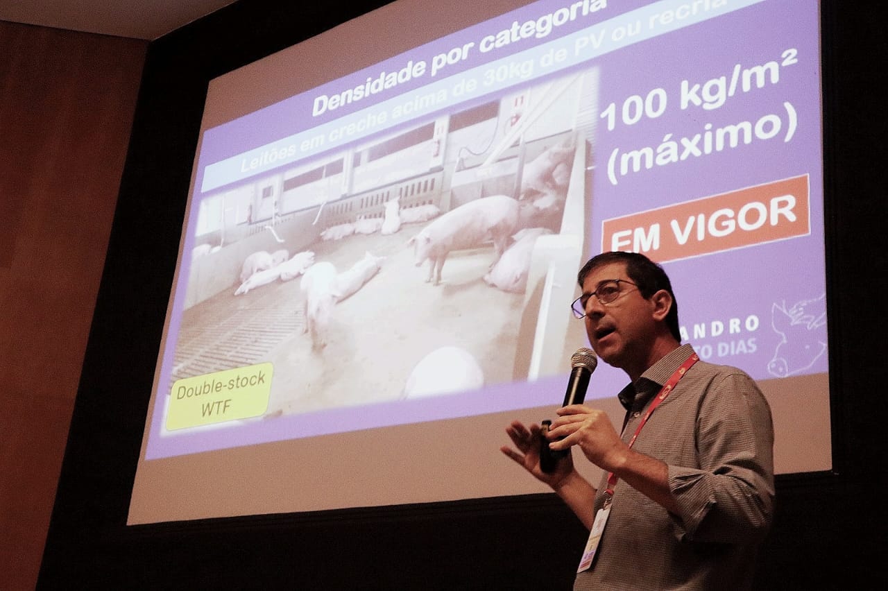 Cleandro Dias aborda impactos da IN 113/2020 na produção nacional suinícola Cleandro Dias aborda impactos da IN 113/2020 na produção nacional suinícola