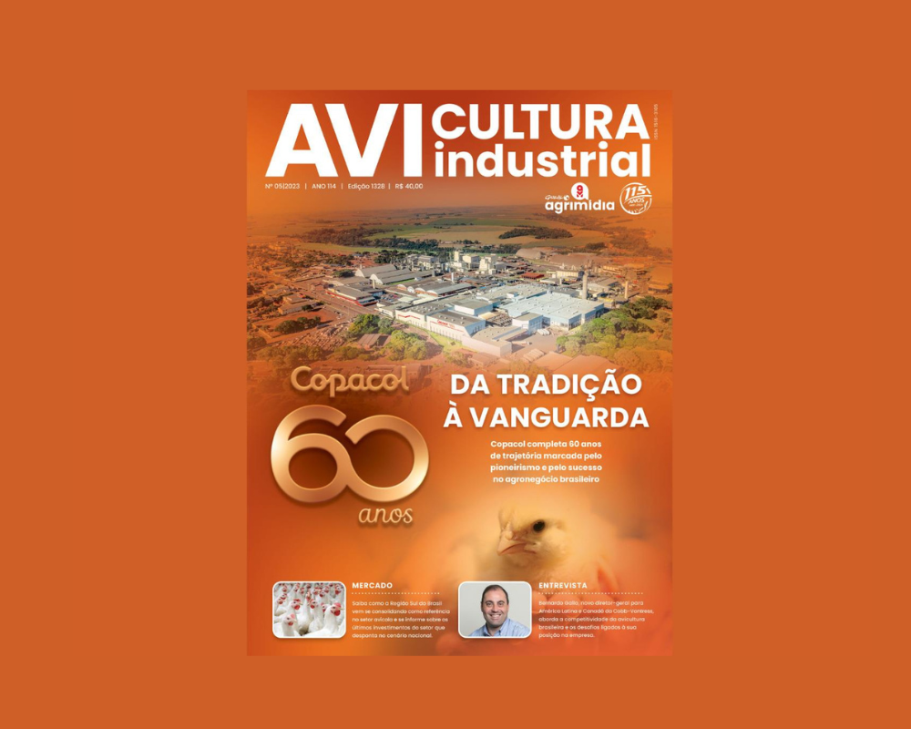 Leia na AI – Das miçangas aos dados