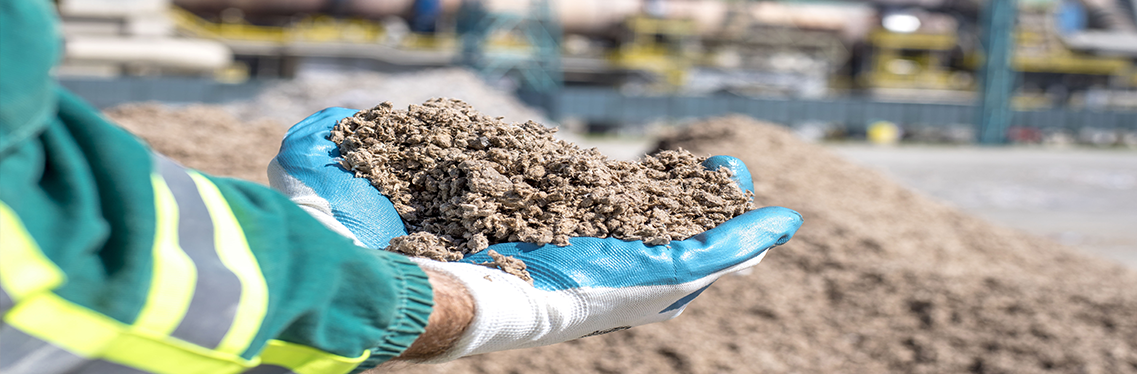 Gerador usa biomassa para produzir eletricidade na Amazônia