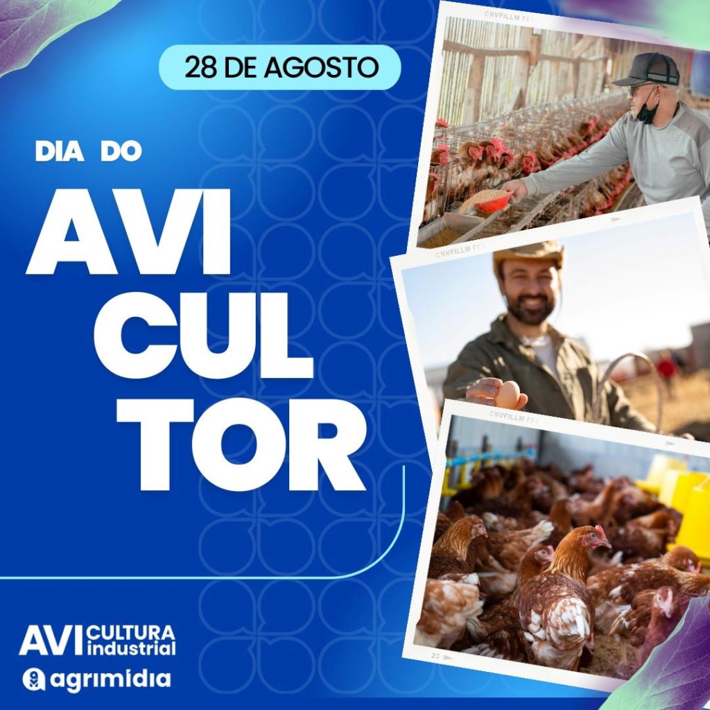 Dia do Avicultor: confira série de vídeos com a Profa. Dra. Masaio sobre biosseguridade no setor
