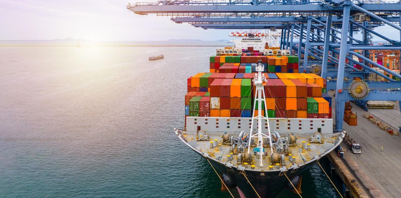 Brasil inicia exportação de material genético suíno para o Uruguai Brasil inicia exportação de material genético suíno para o Uruguai