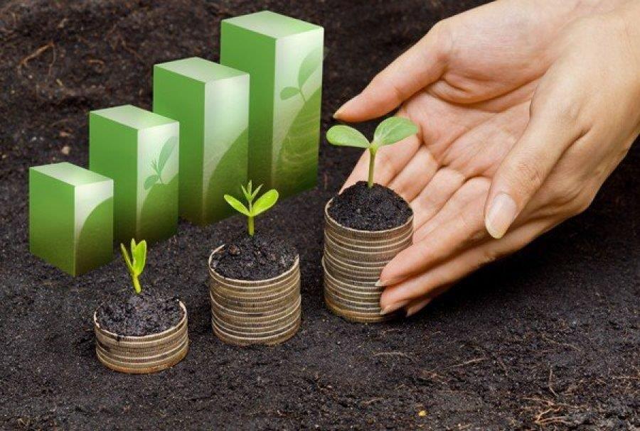 Setor agropecuário registra crescimento de quase 18% no primeiro semestre