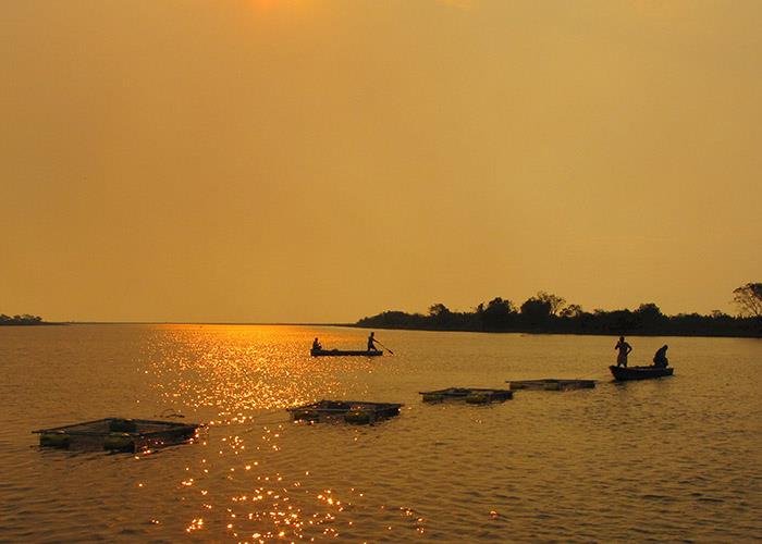 Brasil inicia o maior projeto de pesquisa já elaborado para desenvolver a aquicultura