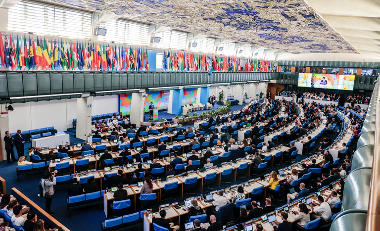 MAPA-participa-das-Conferencias-da-FAO-sobre-pecuaria-e-mecanizacao-sustentavel