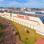 Copacol mira 300 mil tilápias diárias em setor com disputa sobre importações