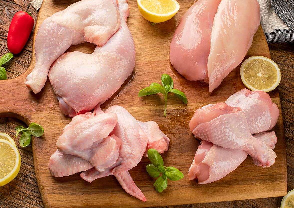 Missão comercial fortalece laços entre Brasil e Argélia, impulsionando o comércio de frango