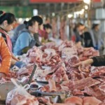 Peste Suína Africana leva Filipinas a suspender importações de carne suína de Taiwan