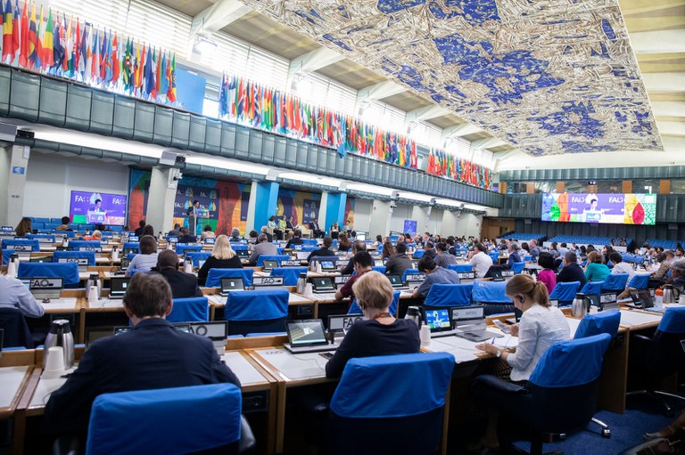 Ministério da Agricultura participa do Diálogo Internacional sobre Água, promovido pela FAO