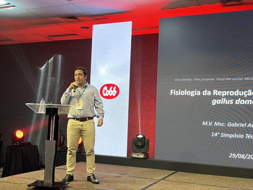 Cobb-Vantress defende manejo de recria de reprodutores para melhor resultado