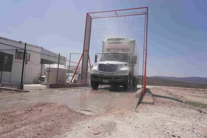 Detecção de Gripe Aviária em Sonora, no México, desencadeia medidas de contenção