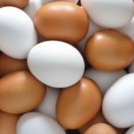 Exportações de ovos do RS crescem mais de 30% no quadrimestre e ganham espaço no mercado externo