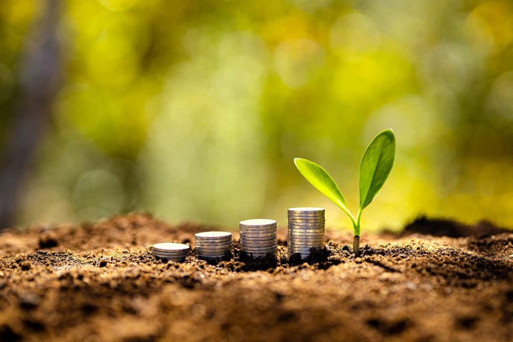 Governo Federal lança Plano Safra 2025/2026 nesta terça-feira (01/07)