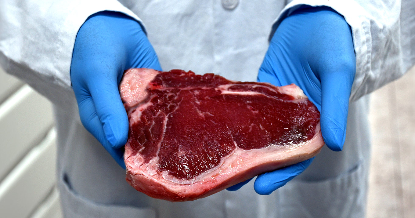 Como a manufatura de cultura de células é aproveitada na produção de carne cultivada?