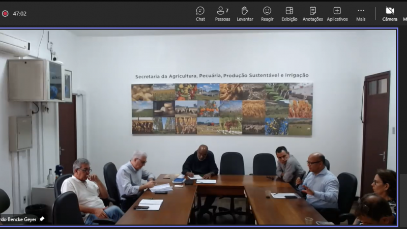 RS apresenta balanço da situação da gripe aviária: 7,6 milhões de aves inspecionadas