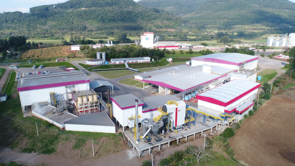 Dália está habilitada para exportar suínos e frangos in natura para o Chile 