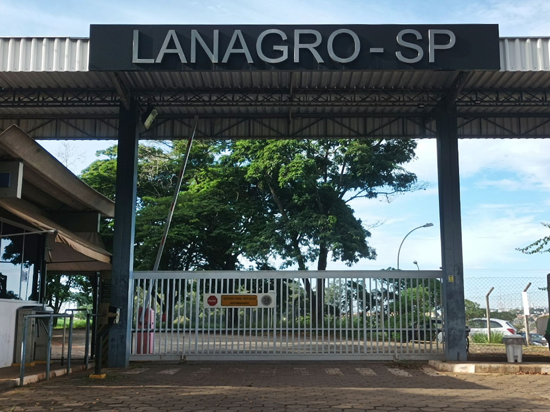 Laboratório em Campinas (SP) é referência para diagnóstico de gripe aviária na América Latina Laboratório em Campinas (SP) é referência para diagnóstico de gripe aviária na América Latina