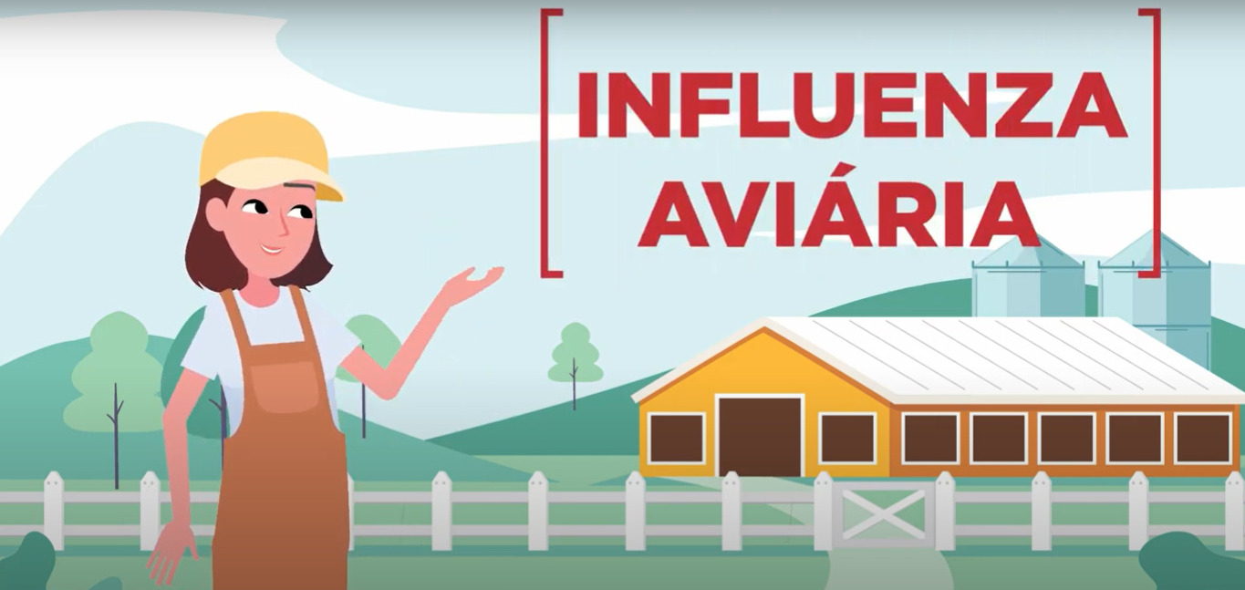 ABPA lança nova fase da campanha de prevenção contra a Influenza Aviária