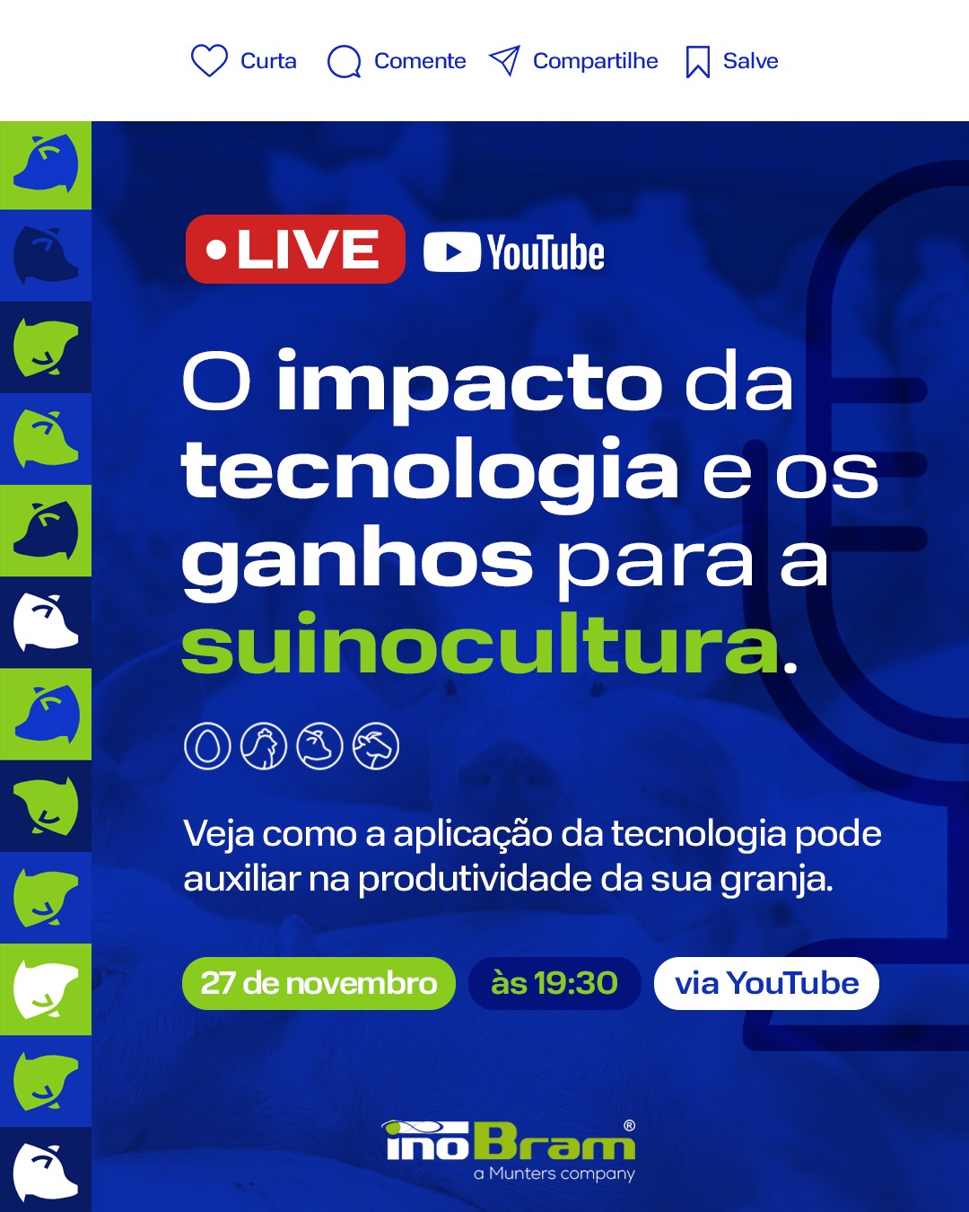 Inobram abordará tecnologia e produtividade na suinocultura em live