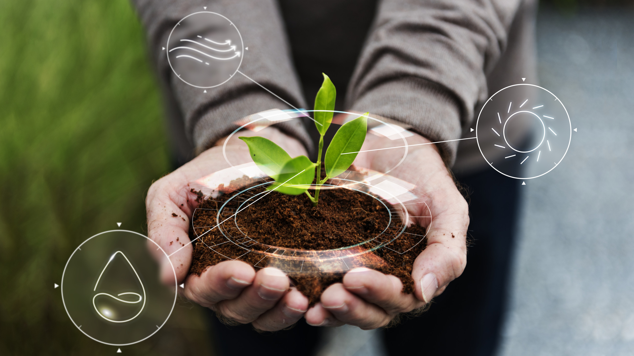 Produção sustentável: agronegócio brasileiro avança, mas mudanças ainda são necessárias Produção sustentável: agronegócio brasileiro avança, mas mudanças ainda são necessárias
