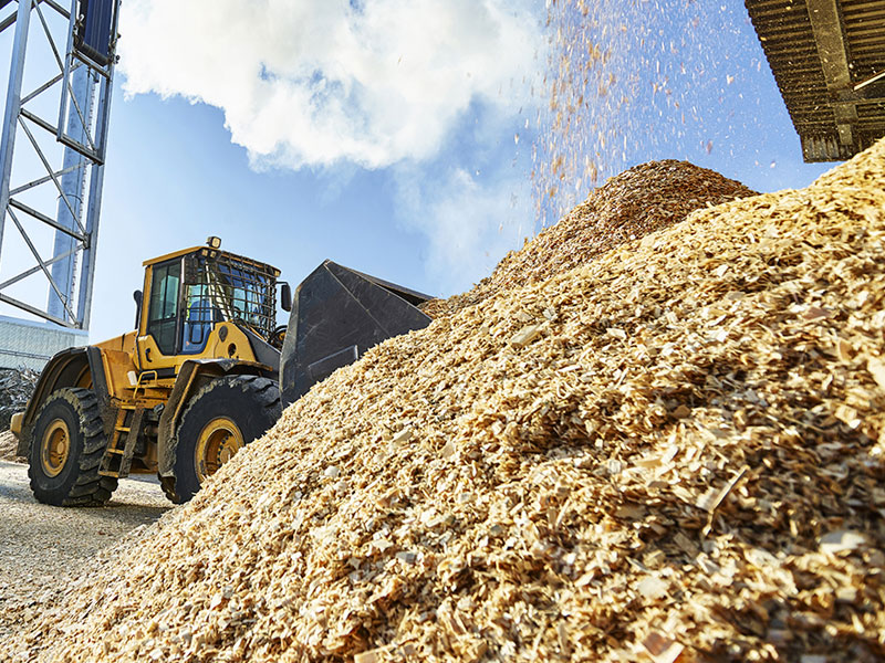 O papel da biomassa e dos resíduos agropecuários na transformação do setor energético
