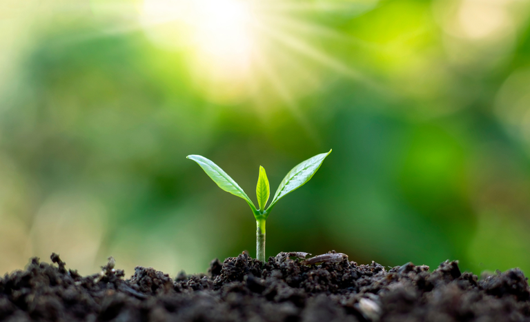 Portaria do MAPA dará mais celeridade no registro de novos defensivos agrícolas