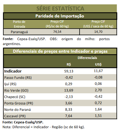 Mercado do milho: preços internos em alta e desafios na comercialização