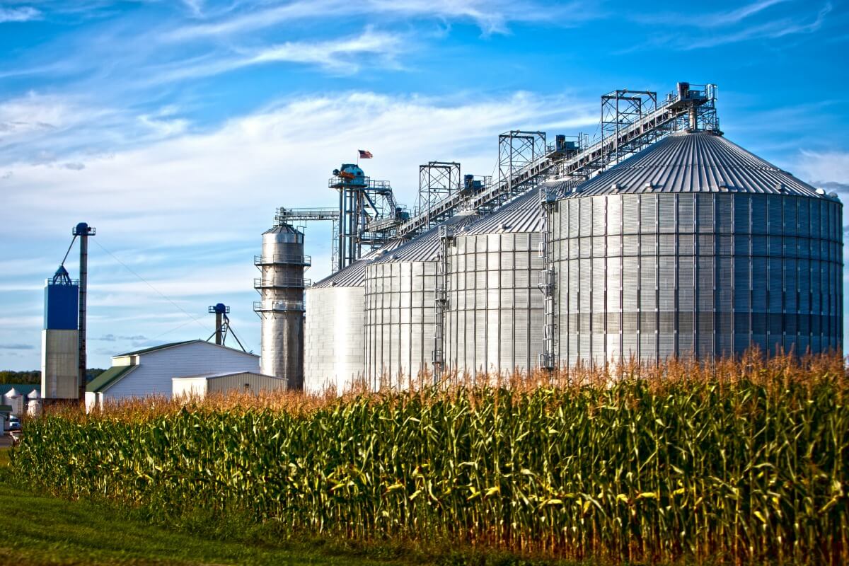 Paraná negocia instalação de fábrica de sementes com multinacional alemã Paraná negocia instalação de fábrica de sementes com multinacional alemã