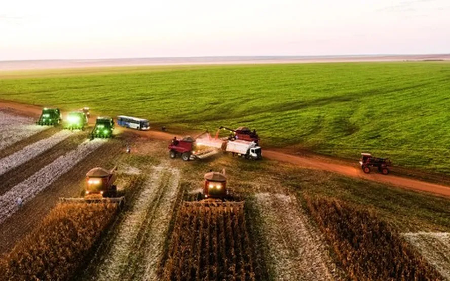 Safra 2024 alcançará 306,2 milhões de T, 3,2% menor que a de 2023