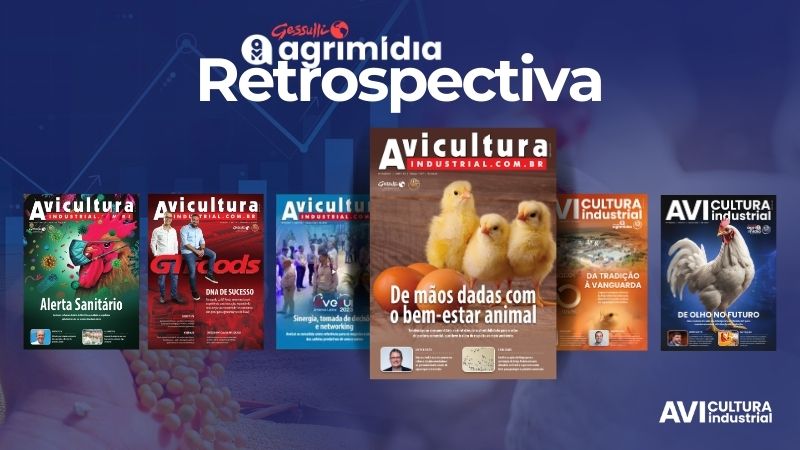 Julho: Para fornecer ovos sustentáveis, o Brasil precisa investir em bem-estar animal