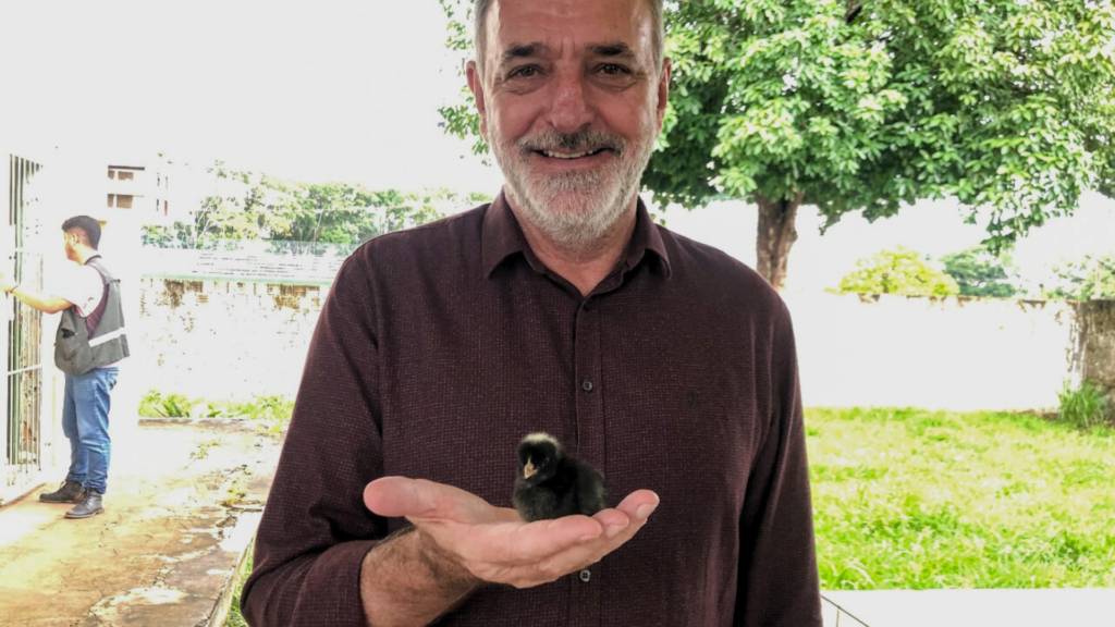 Governo do Acre impulsiona a agricultura familiar por meio da avicultura