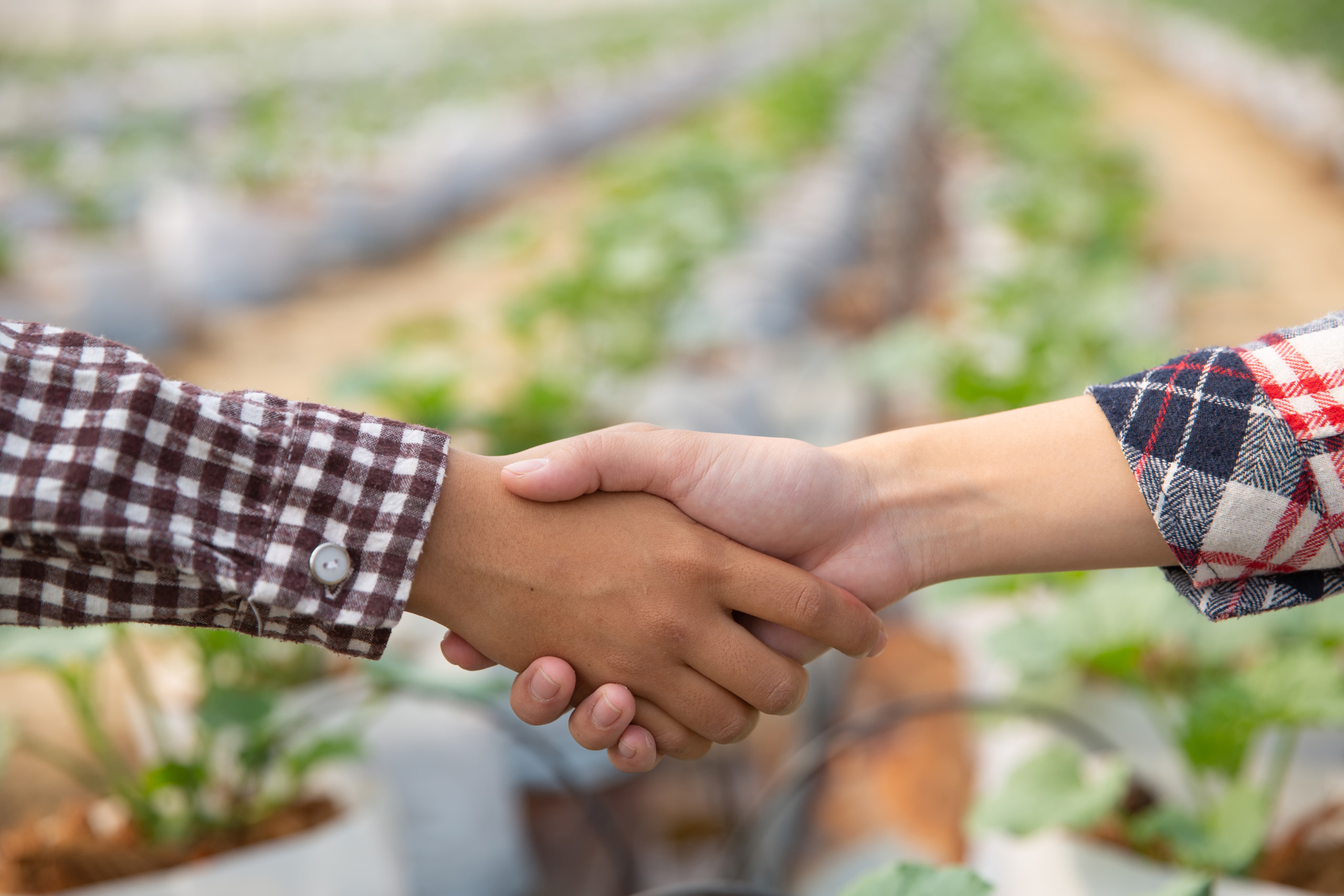 Governo federal planeja dobrar abertura de mercados agrícolas até 2026