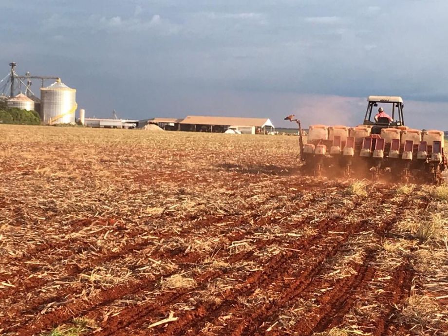 Imea disponibiliza análise completa dos recursos para custeio da safra de soja 2023/24 em Mato Grosso