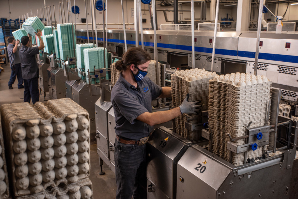 Cal-Maine Foods suspende temporariamente instalação no Kansas afetada pela gripe aviária