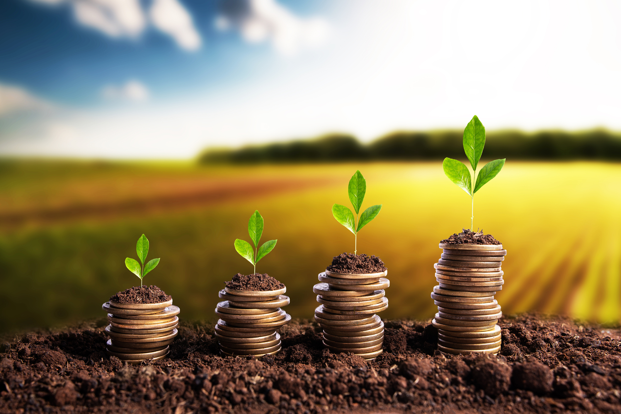 Valor Bruto da Produção do agro alcançou R$ 1,406 trilhão em agosto