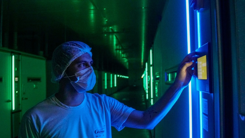 Tecnologia e responsabilidade ambiental aceleram produção na avicultura paranaense