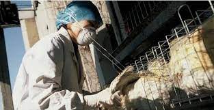 Aumento de casos de influenza aviária na Alemanha exige reforço na biossegurança avícola