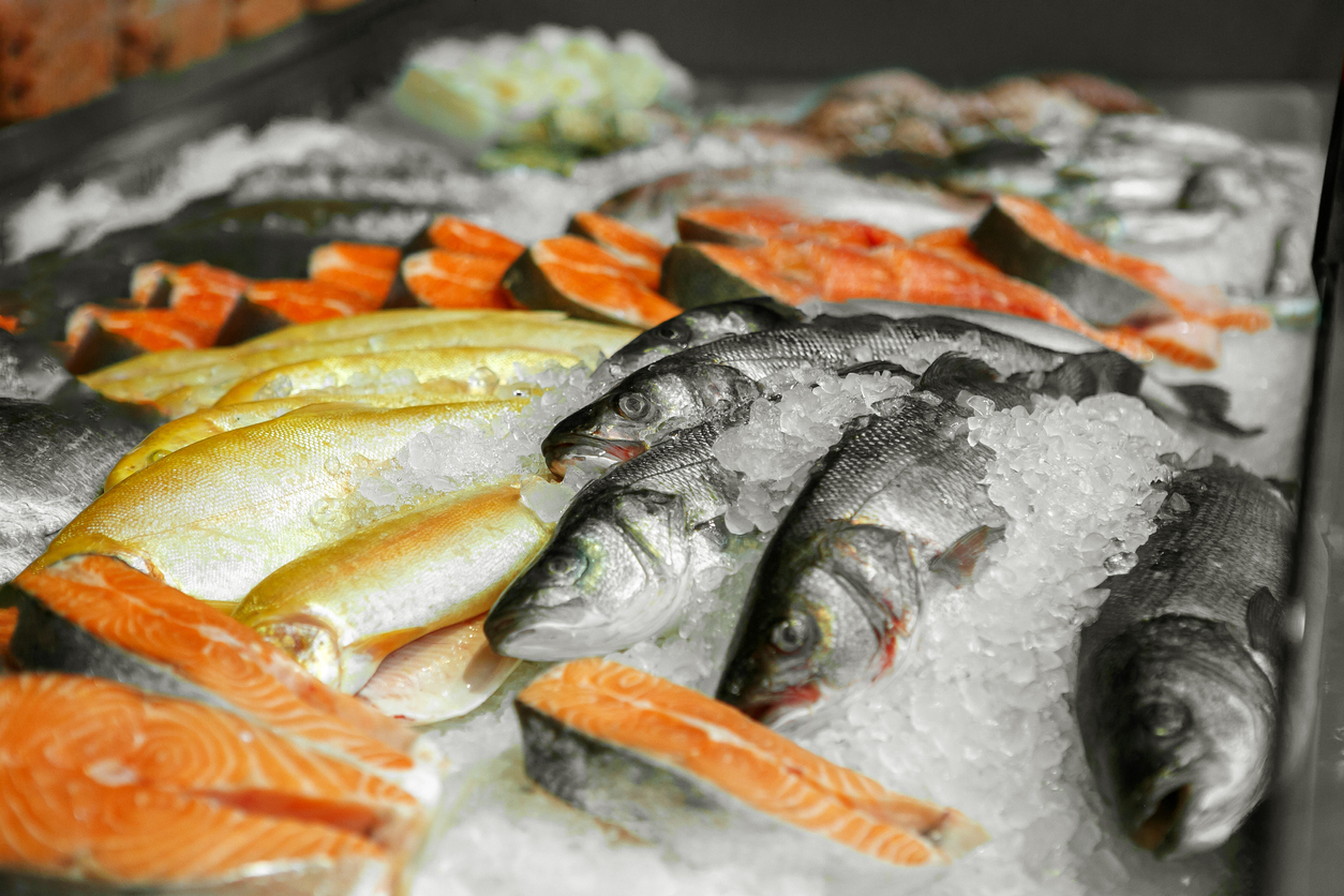 Egito abre as portas para pescados brasileiros e seus derivados