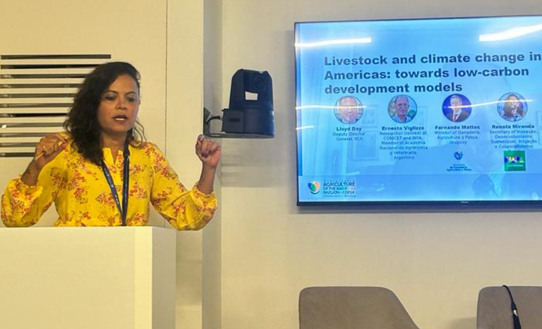 MAPA participa de debate na COP 28 sobre desenvolvimento sustentável de baixo carbono