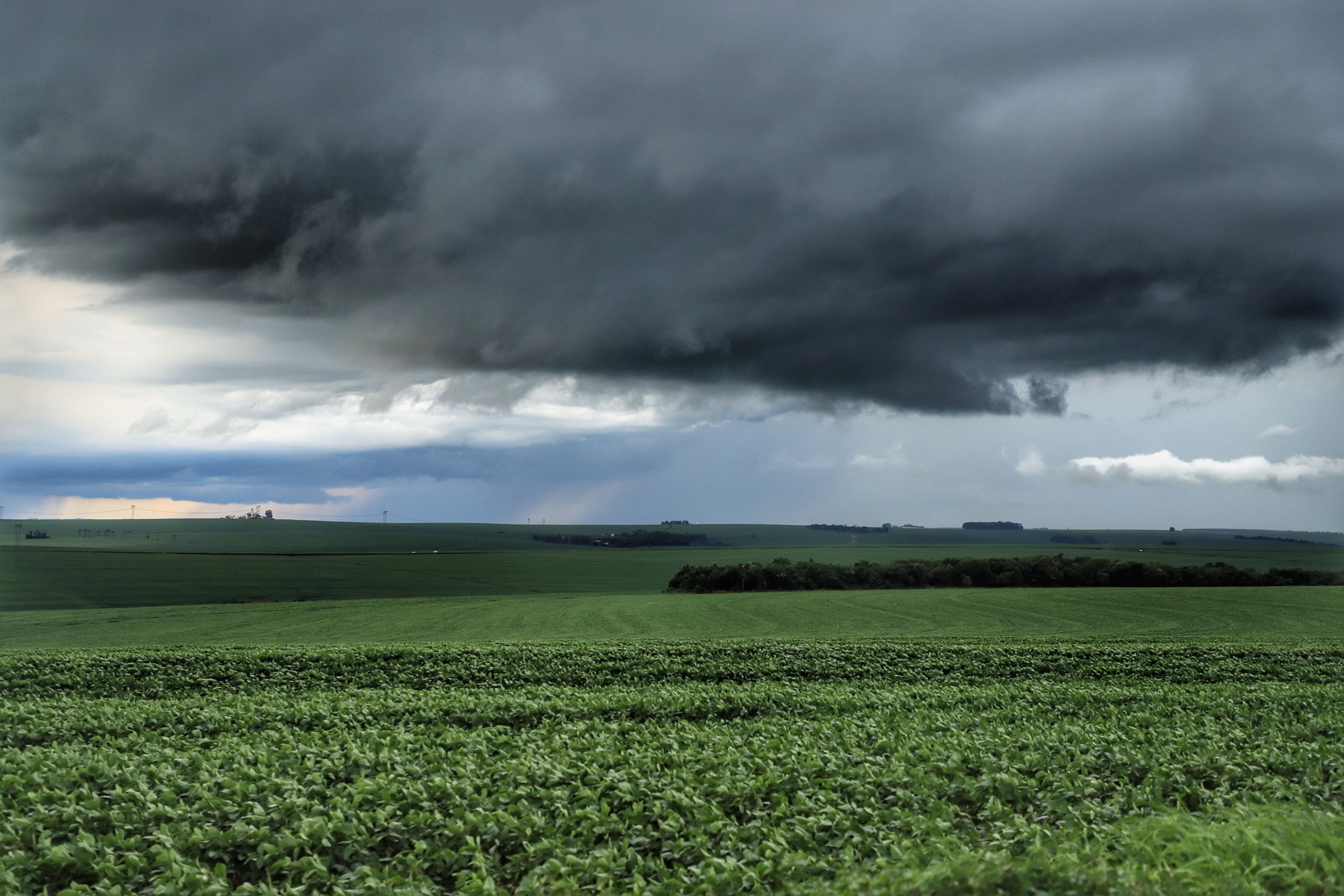 Chuvas retornam às regiões Norte e Nordeste: com risco de transtornos em algumas cidades e salvação no agronegócio