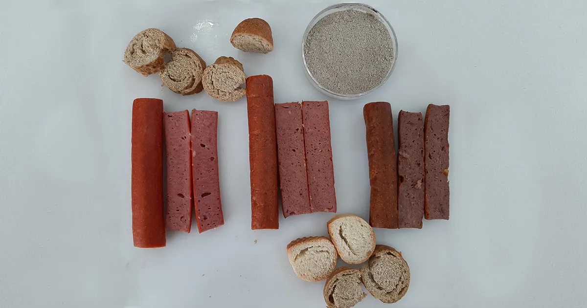 Insetos no cardápio? Cientistas aprimoram a produção de alimentos feitos com larvas de mosca